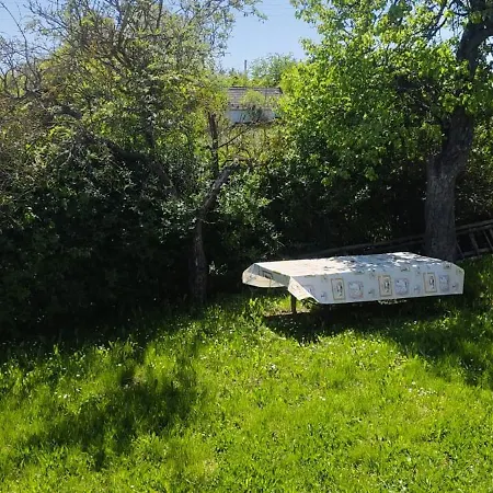 Kleines Haeuschen Mit Schoener Aussicht Дом отдыха *